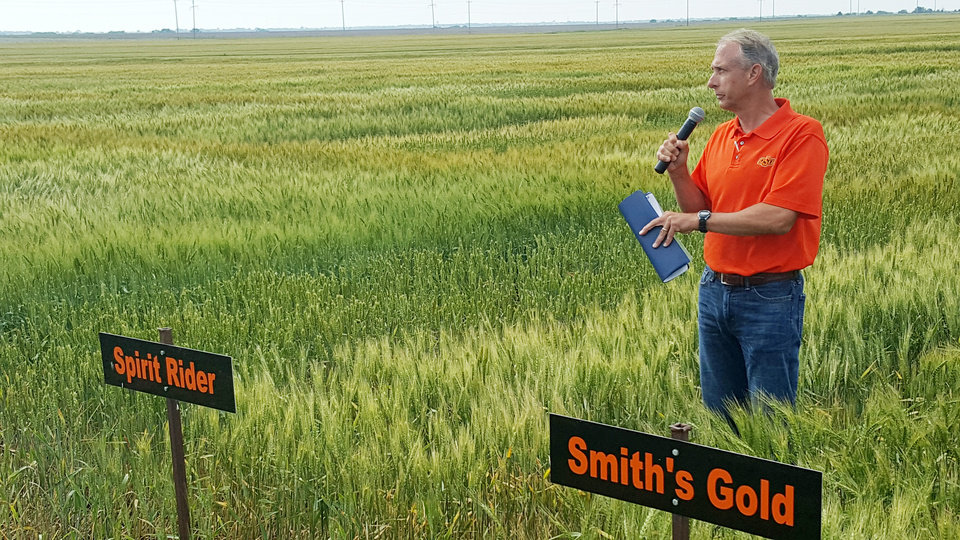 This is alt text for the image