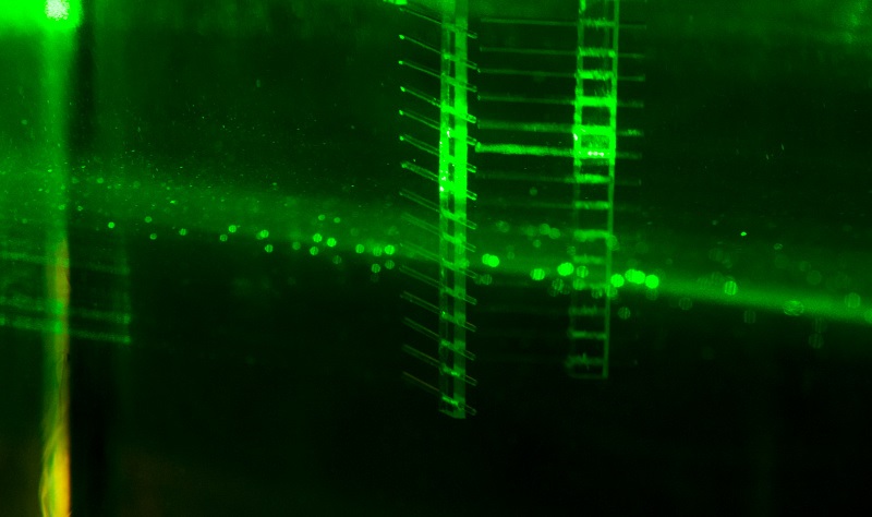 This is alt text for the image