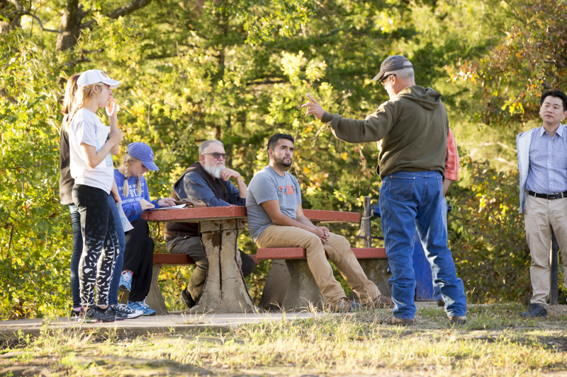 This is alt text for the image