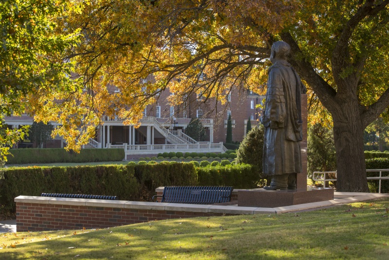 This is alt text for the image